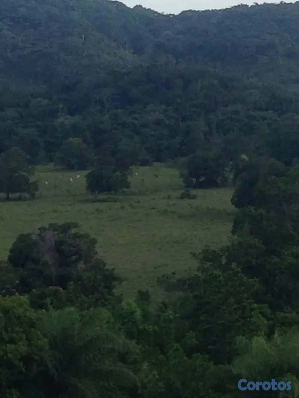 solares y terrenos - Finca en el Puerto de Bayaguana 7