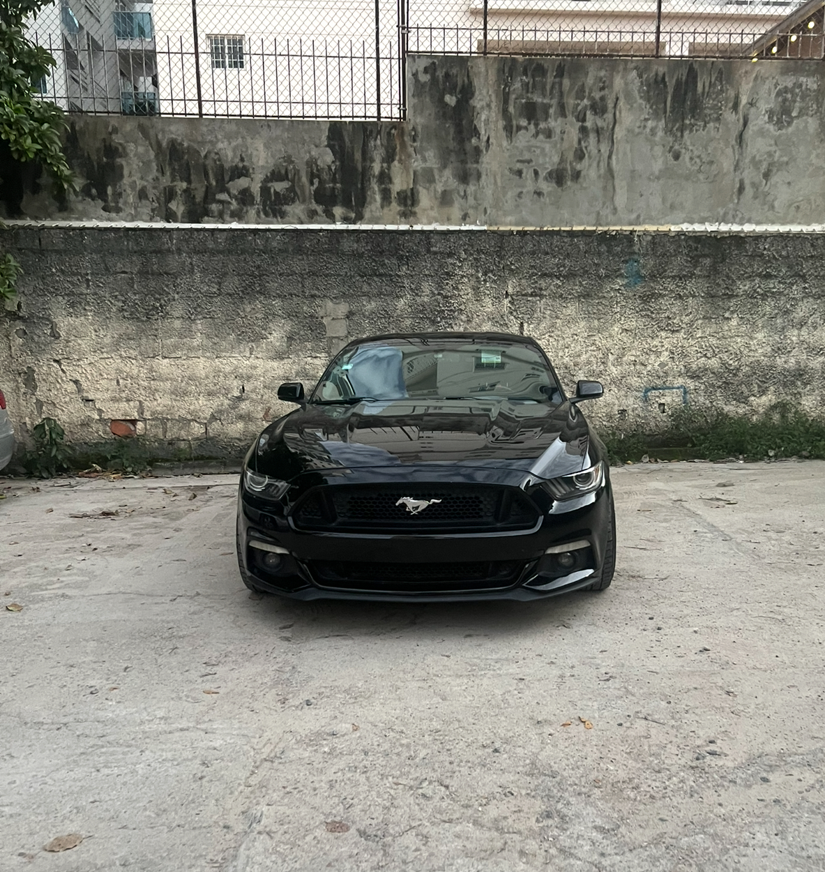 carros - Mustang GT premium 5.0 V8 clean 9