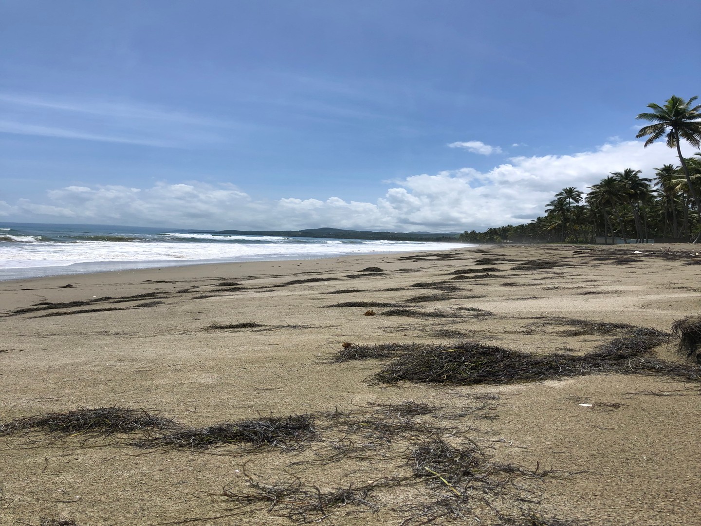 solares y terrenos - Propiedad Frente a la Playa en Gaspar Hernández 2