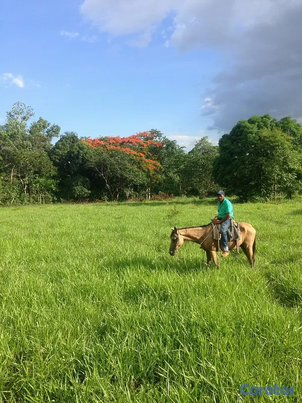 solares y terrenos - Finca en el Puerto de Bayaguana 5