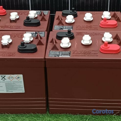 plantas e inversores - Batería trojan  1