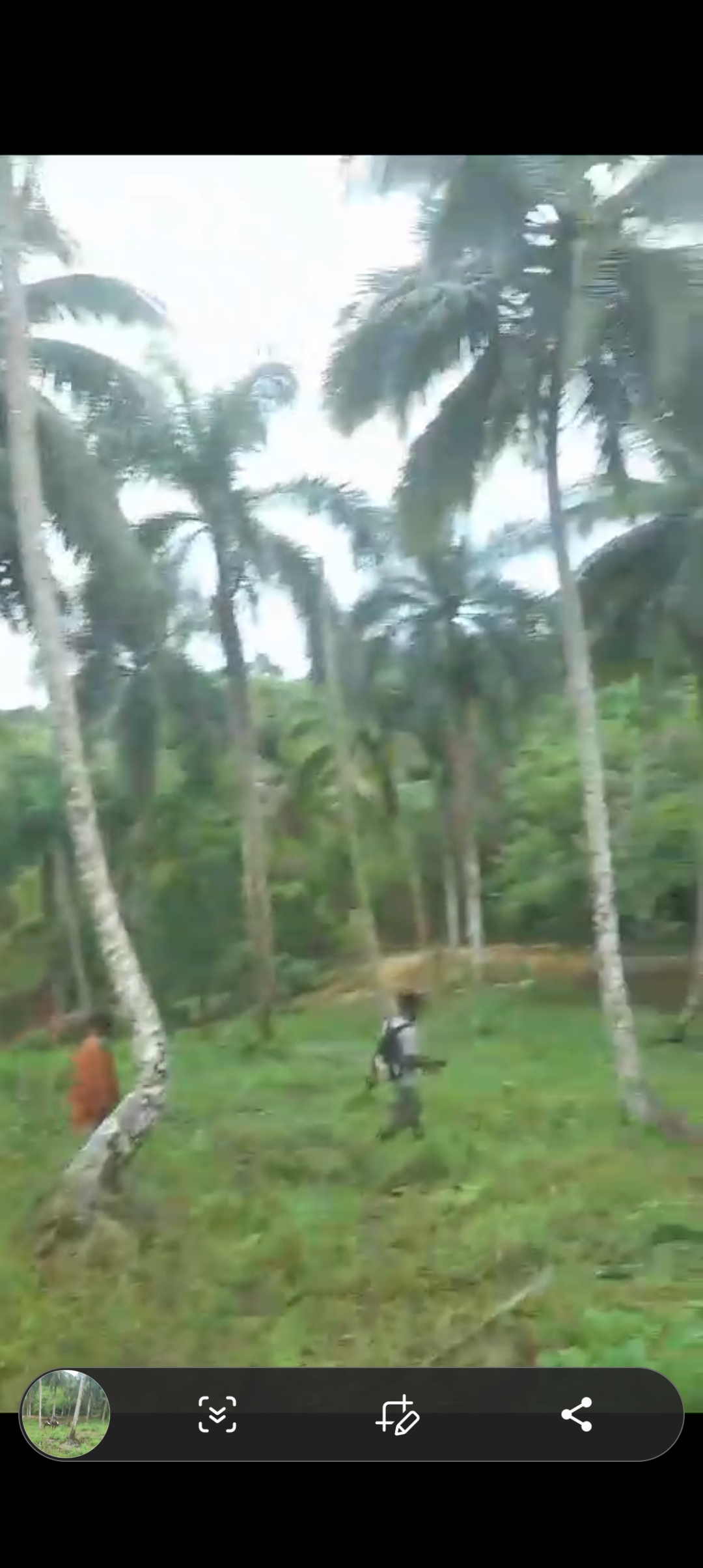 solares y terrenos - Se vende finca de coco 4