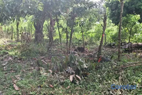 solares y terrenos - Terreno Ecoturístico Bonao Los Quemados 8