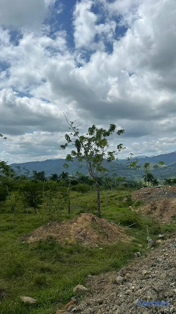 solares y terrenos - TERRENOS EN VENTA EN EL CUPEY CON VISTA A LA MONTA 4