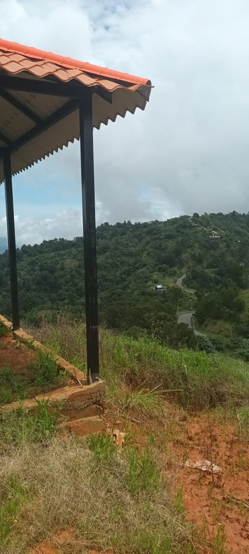 solares y terrenos - Venta Terreno en montañas de Jarabacoa con vista espectacular 360° de la ciudad 6