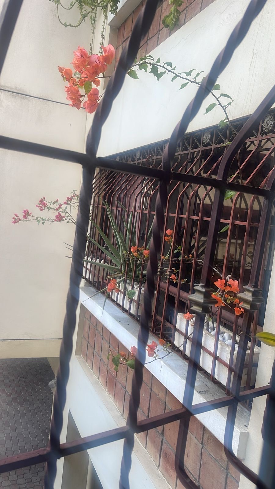 apartamentos - hermoso apartamento en una zona céntrica en el millon  9