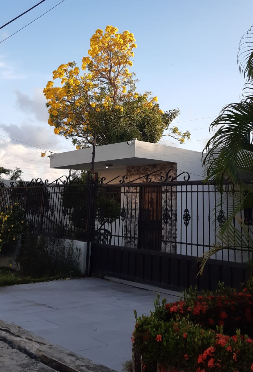 casas - Casas de Alquiler En la Jacobo Majluta  0