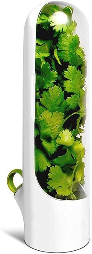 electrodomesticos - Botella De Conservación De Verduras, vegetales, cilantro, cebollin envase 3