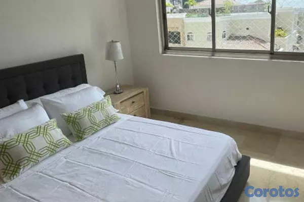 apartamentos - Apartamento en Alquiler en Piantini Amueblado de T 8