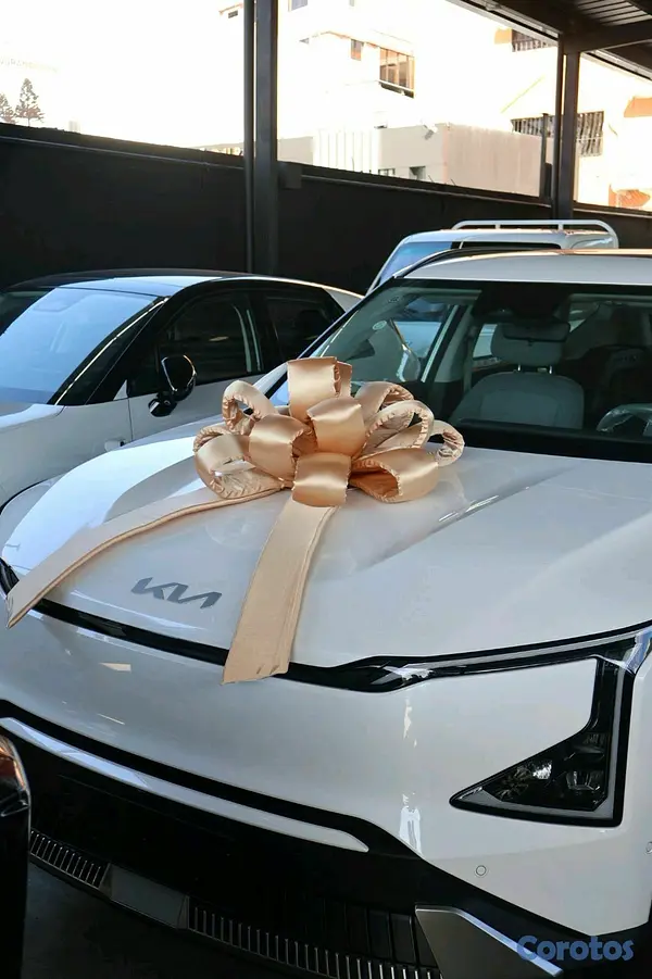 accesorios para vehiculos - lazos exclusivos para vehículos
 4