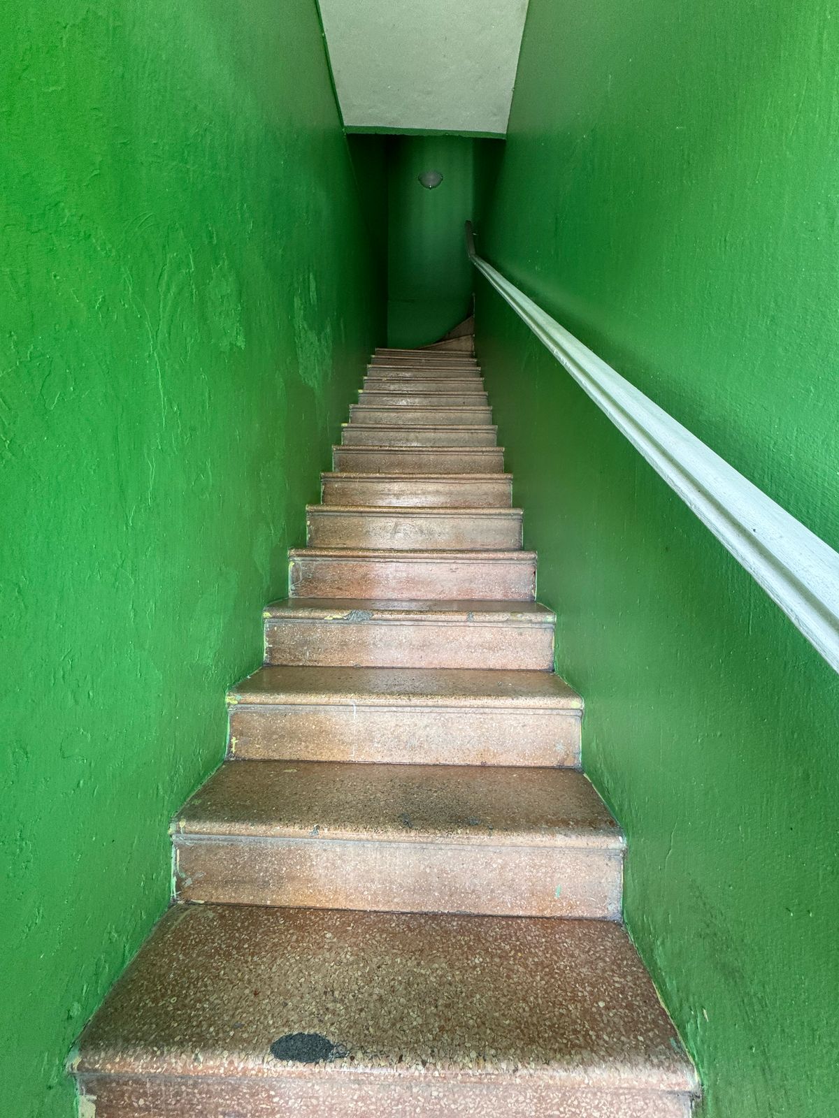 apartamentos - Segundo Piso En Ciudad Nueva Ideal Para Negocios 1