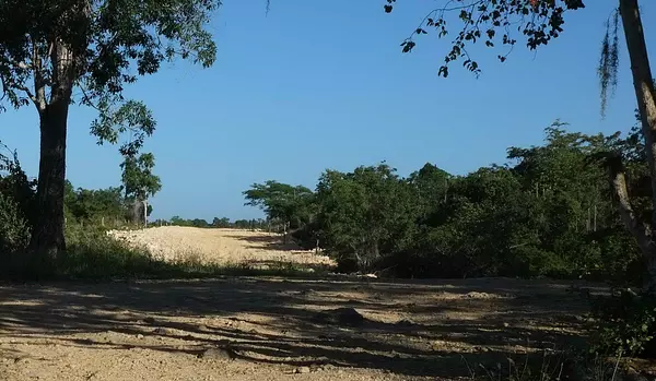 solares y terrenos - VENTA SOLARES EN BAHAHIBE - ZONA COSTERA DE REPÚBLICA DOMINICANA 2