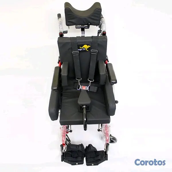 Salud y Equipamiento Médico - Silla de Rueda Neurológica  2