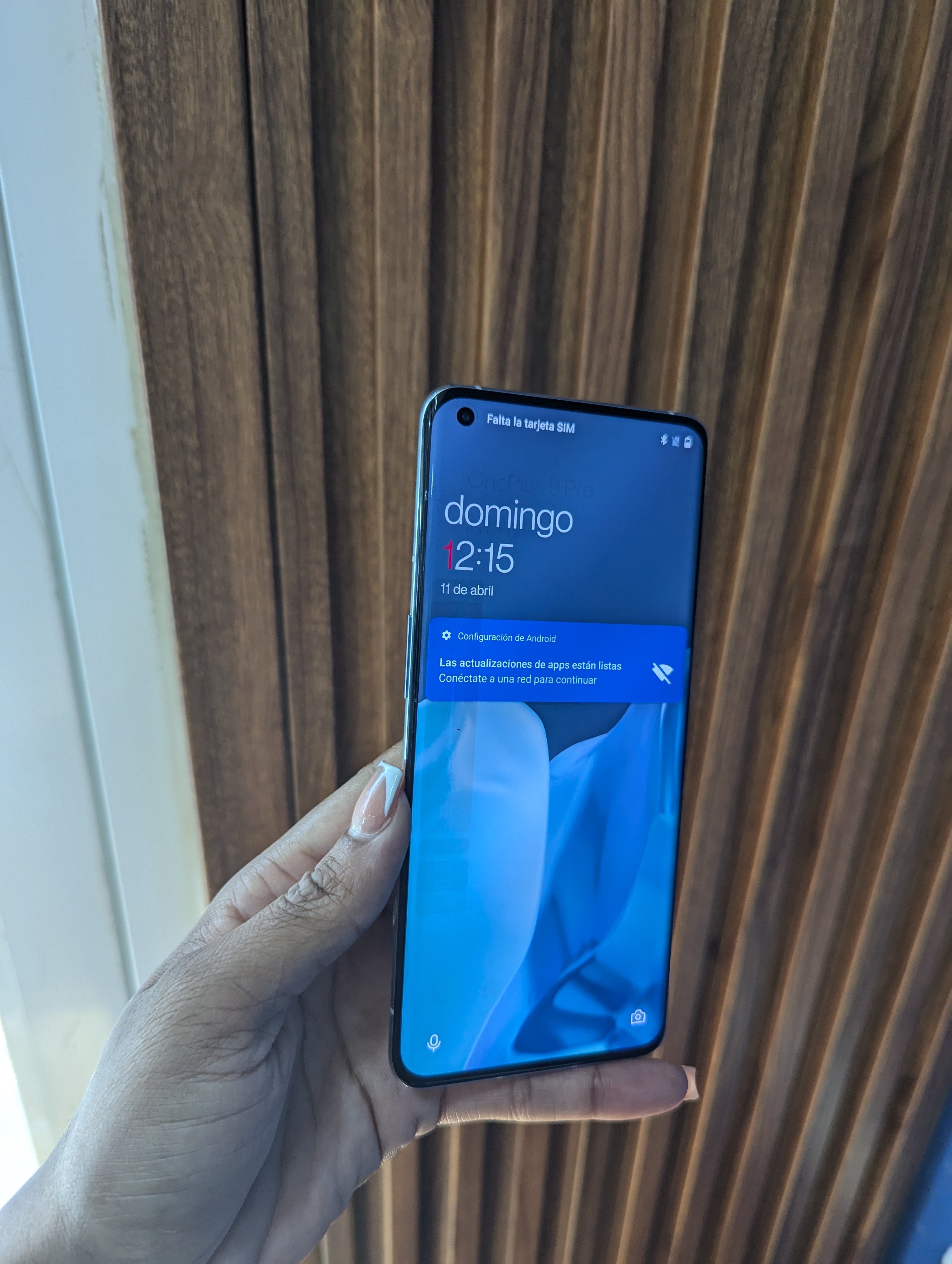 celulares y tabletas - oneplus 9Pro 256gb 6