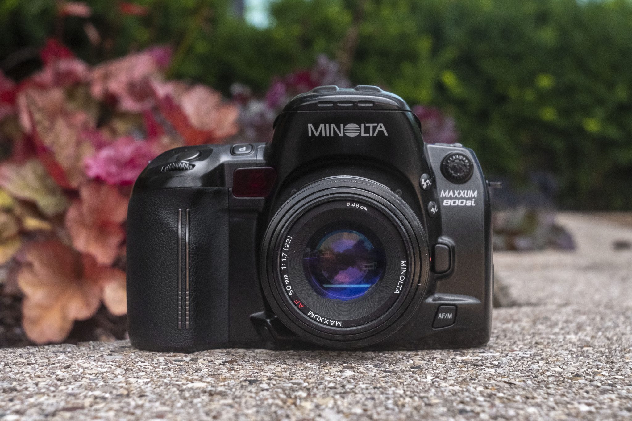 camaras y audio - Minolta Maxxum 800si: cámara análoga con estilo 0