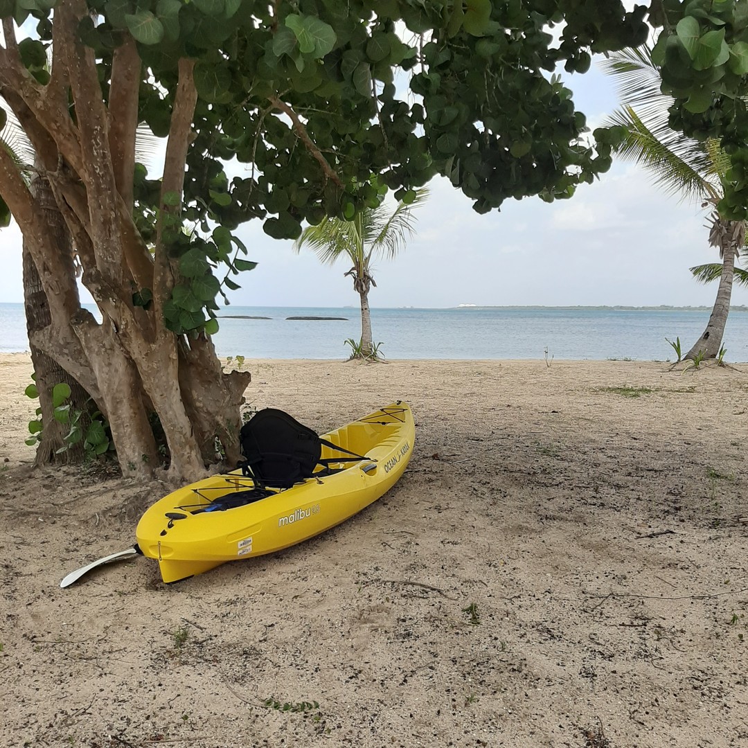 deportes - Kayak - Ocean Kayak Malibu 9.5 - de oportunidad