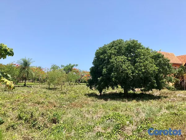 solares y terrenos - Remato Solar en Juan Dolio Guavaberry  5