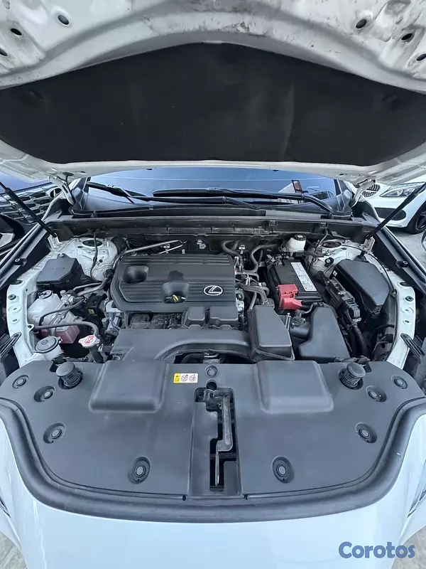 jeepetas y camionetas - Lexus NX-250 AWD 2023 12