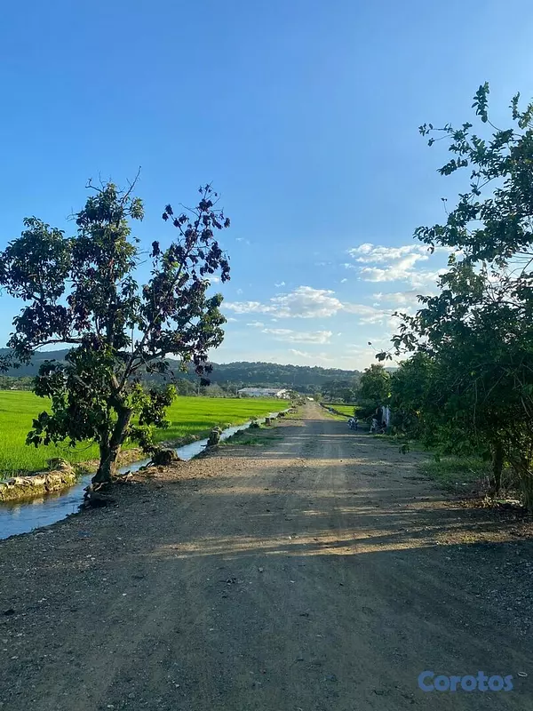solares y terrenos - Se Vende Finca de Arroz en San Francisco de Macorís Macoris 3