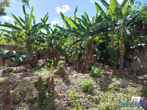 solares y terrenos - Terreno en venta en Santo Domingo Este 270 m2 en M 6