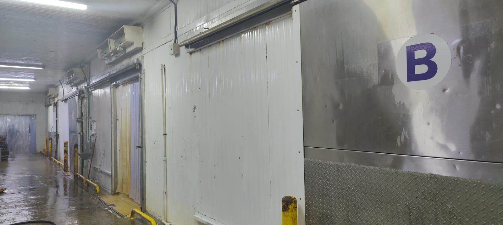 oficinas y locales comerciales - Nave refrigerada en Palamara