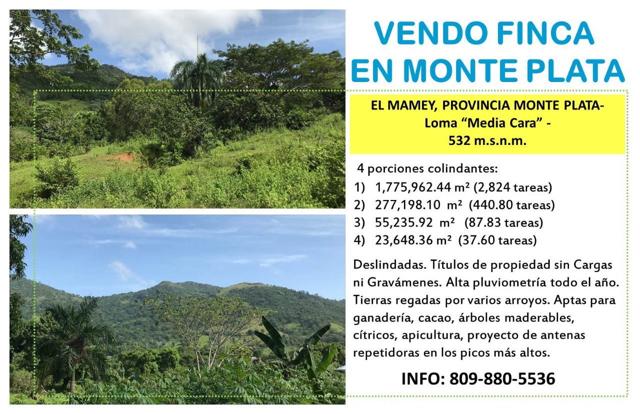 solares y terrenos - FINCA EN MONTE PLATA; El Mamey, Prov. Monte PlataLoma "Media Cara" 