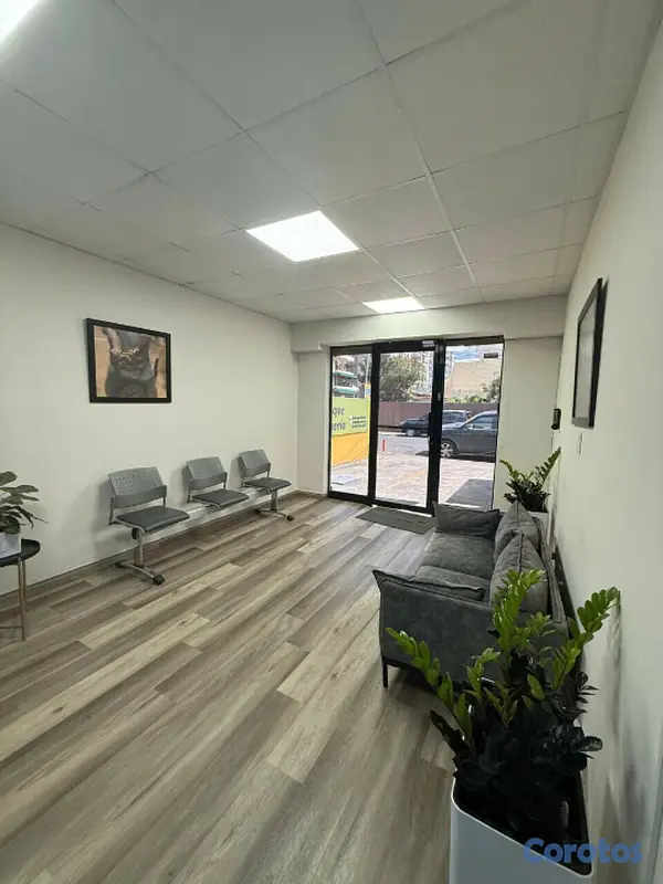 oficinas y locales comerciales - Local Comercial en QUISQUEYA 8