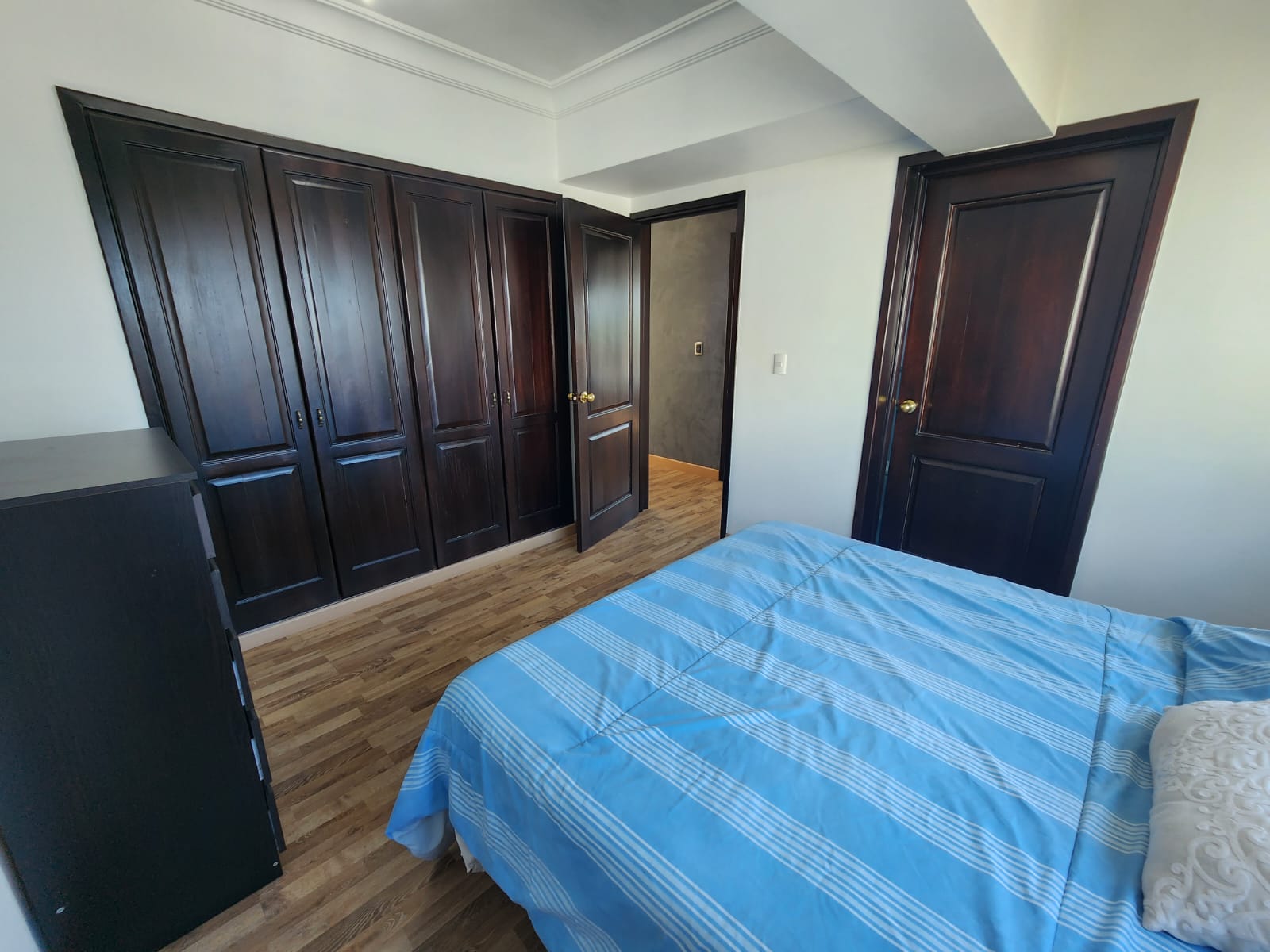 apartamentos - Alquilo apartamento amueblado en Piantini 8
