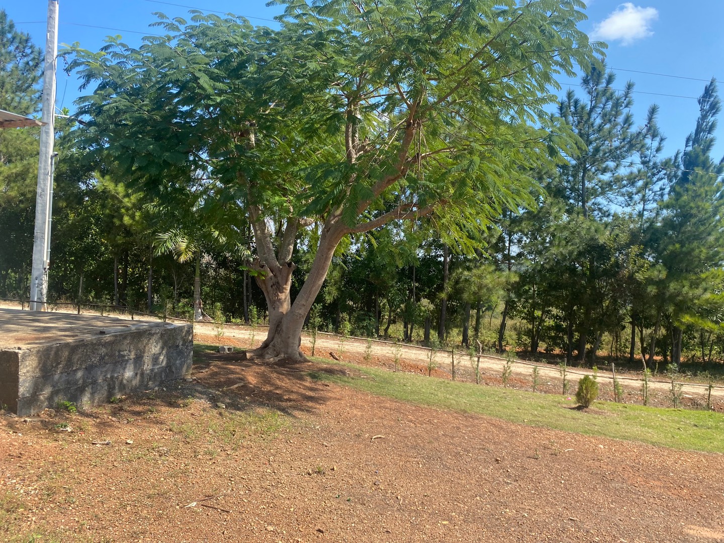solares y terrenos - Terrenos disponibles frente al campo de Vista GOlf & Contry Club  2