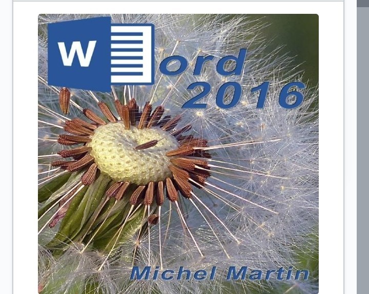 servicios profesionales - Microsoft word 2016