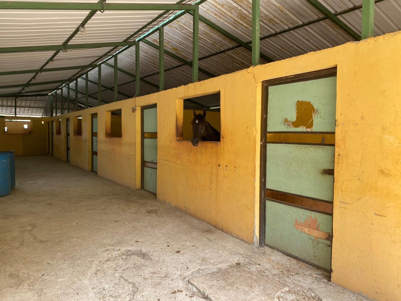 casas - Casa con Terreno de 3,600 Mts2 en Tamboril, Santiago 7