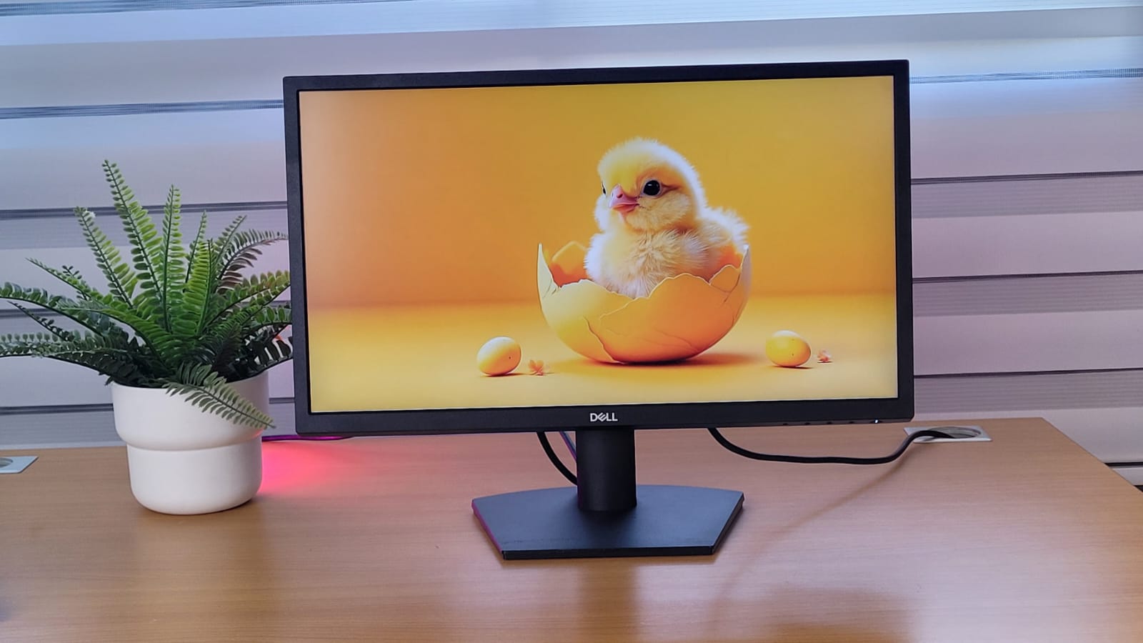 computadoras y laptops - MONITORES DELL HP Y LENOVO DE 20,22,23,24,25 Y 27  6