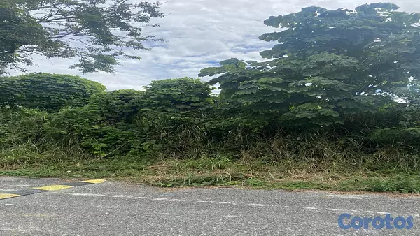 solares y terrenos - VENTA TERRENO CON 995.90 MT2 EN CUESTA HERMOSA III 2
