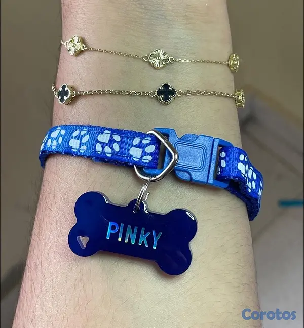 animales y mascotas - Collares y Chapillas personalizadas para mascotas  4