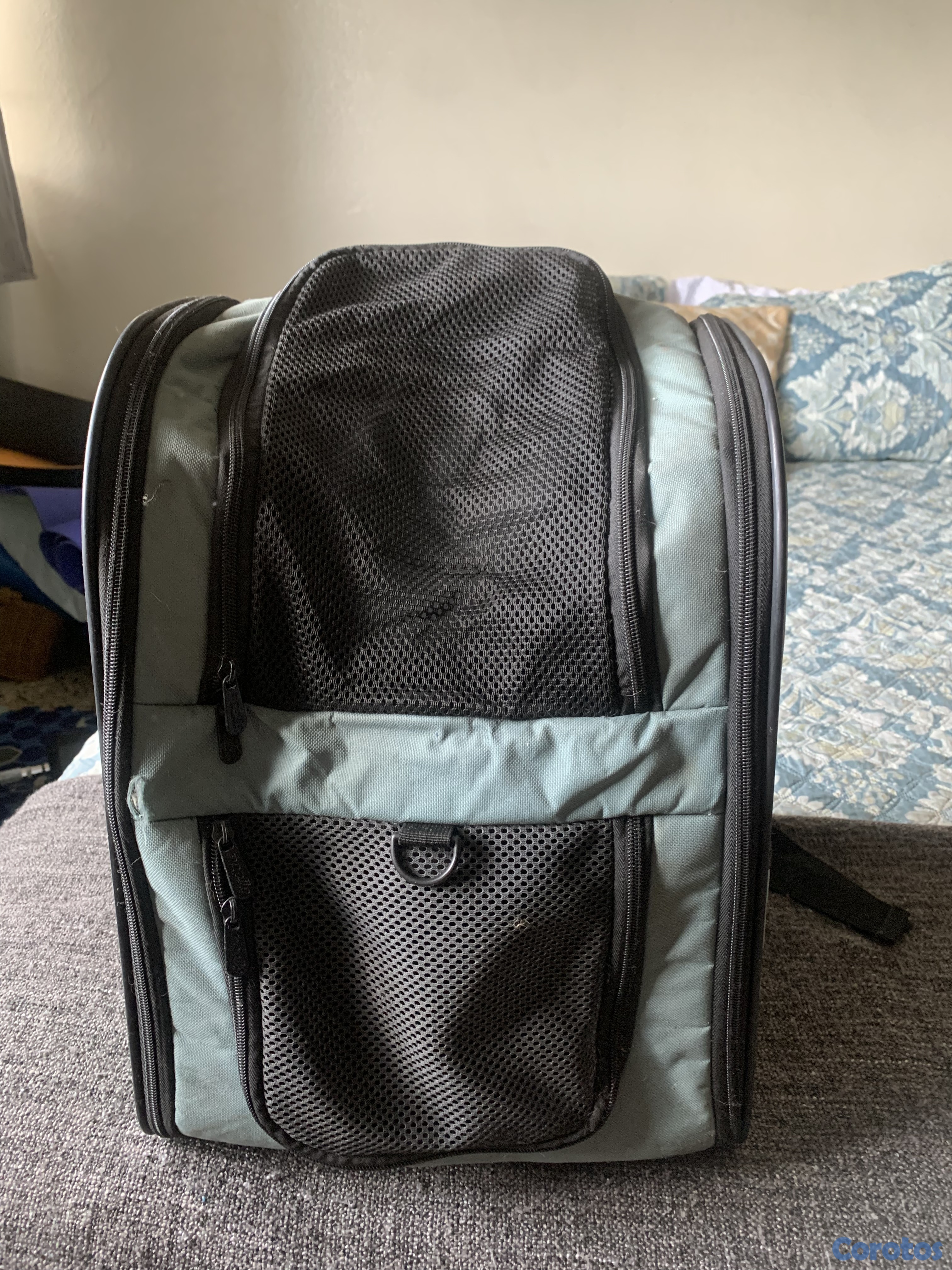 carteras y maletas - Mochila Transportadora para Mascotas 1