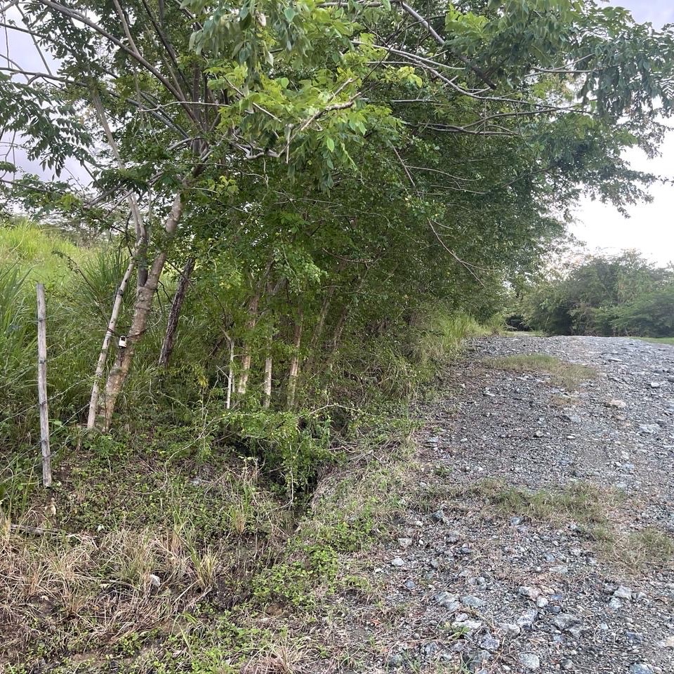 solares y terrenos - Se vende solar en la comunidad de camu, puerto plata 