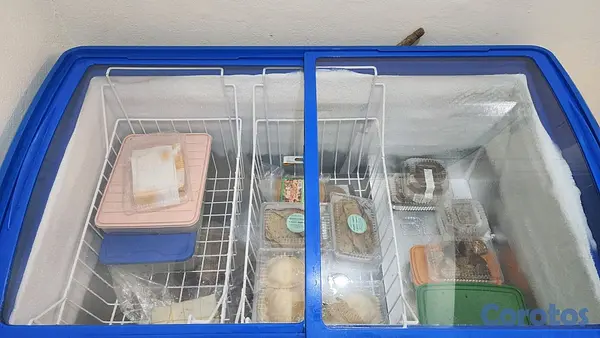 equipos profesionales - Freezer Keprite como nuevo 3