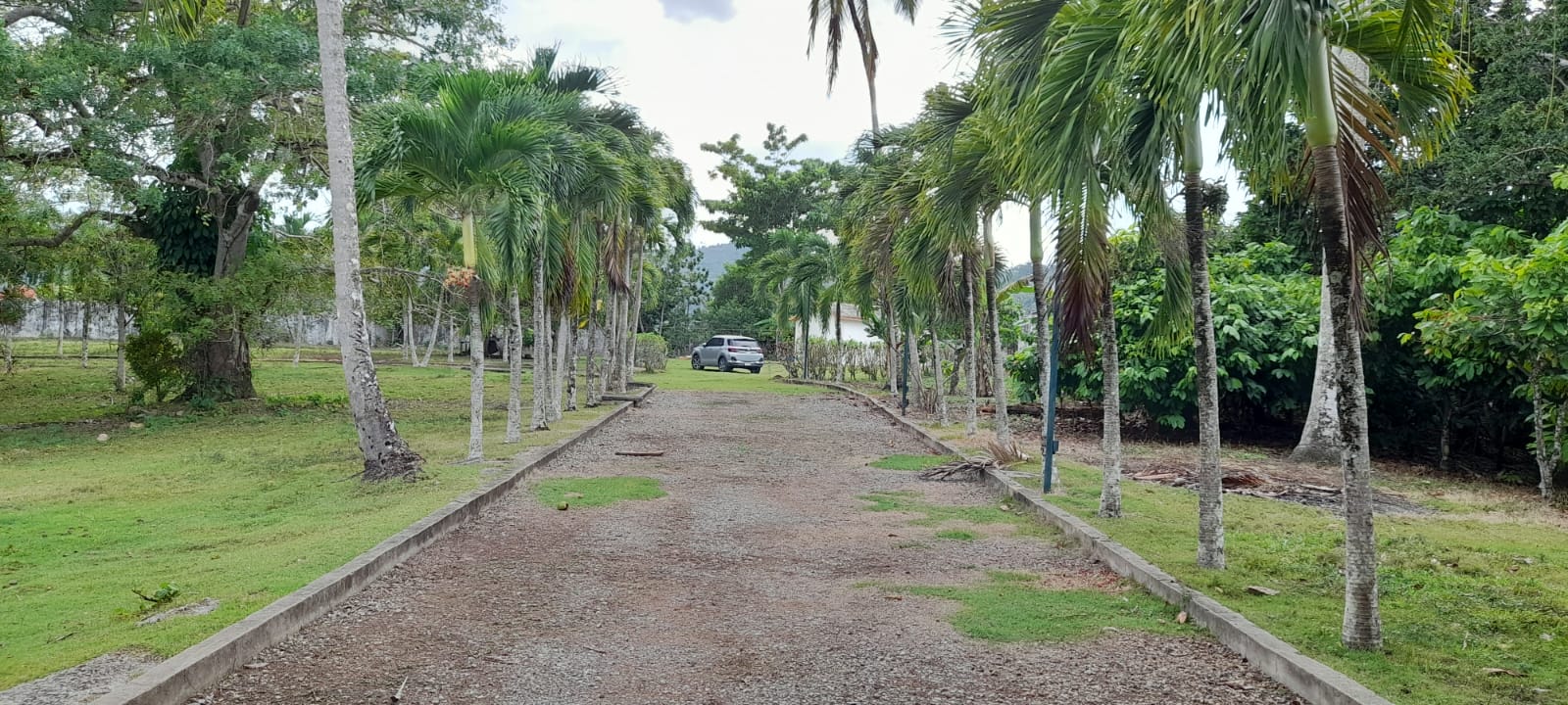 solares y terrenos - Vendo Finca de Oportunidad 