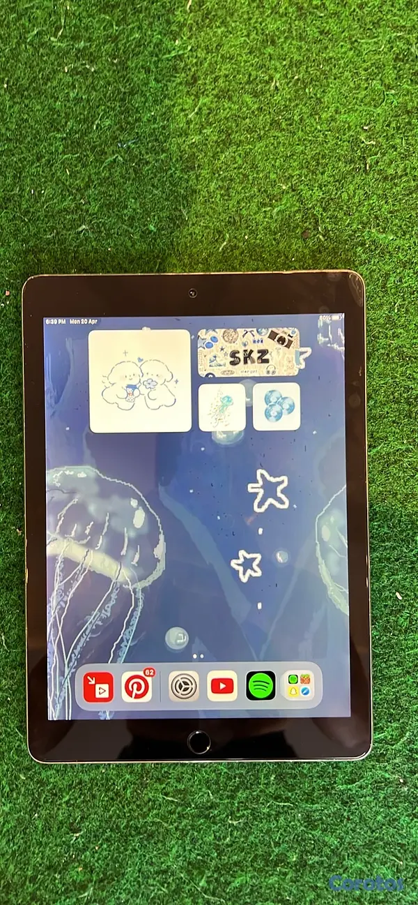 celulares y tabletas - iPad 9.7inch Pro 2