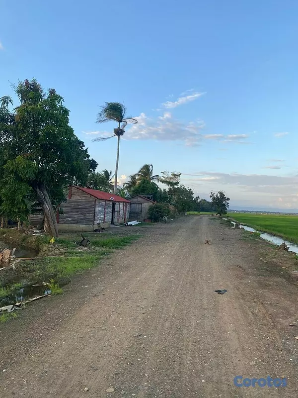 solares y terrenos - Se Vende Finca de Arroz en San Francisco de Macorís Macoris 7
