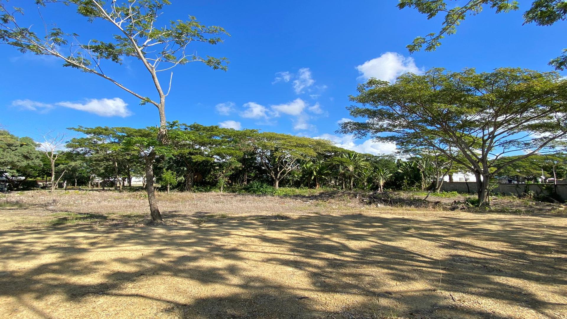 solares y terrenos - Solar en Los Samanes, oportunidad 3