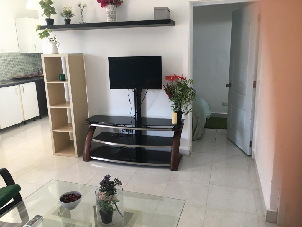 apartamentos -  Apartamento Amueblado de 2 Habitaciones, Av Godoy García, Gazcue 2