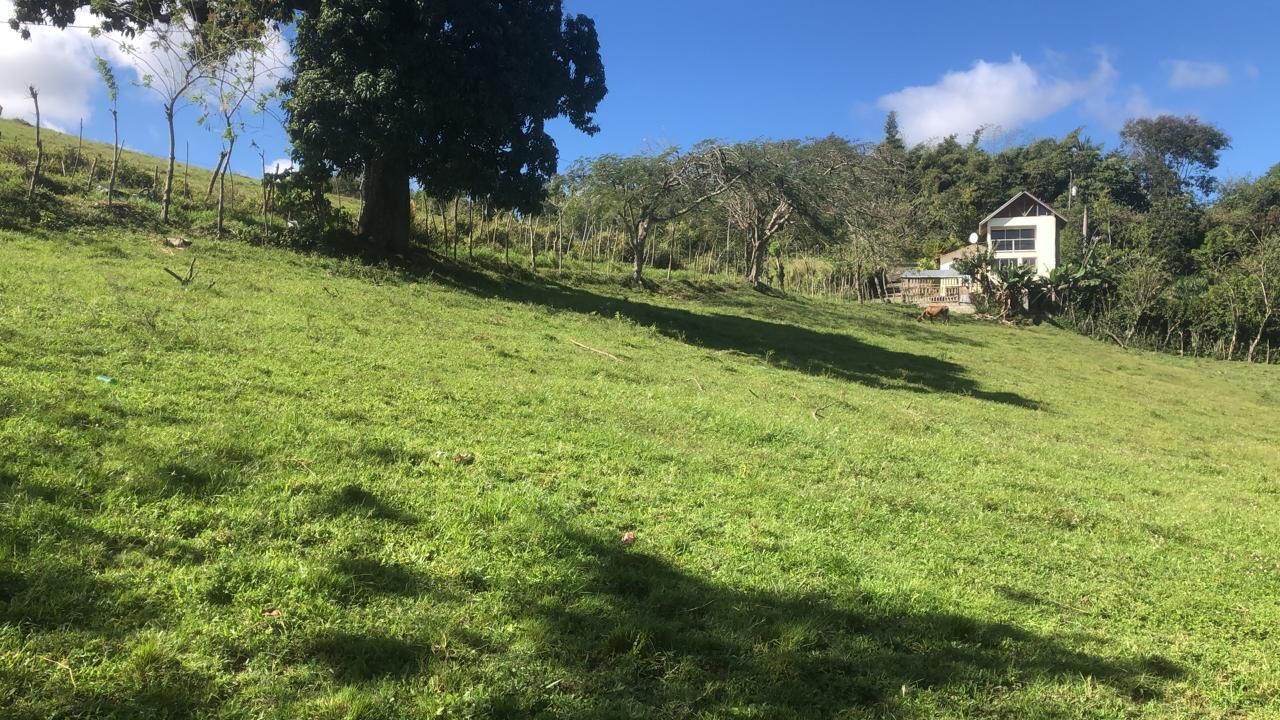 solares y terrenos - Terreno en venta en Jarabacoa, la Vega 1