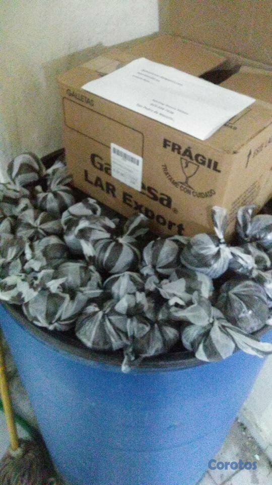 animales y mascotas - Bettas para revender... un ingreso extra para ti.. 4