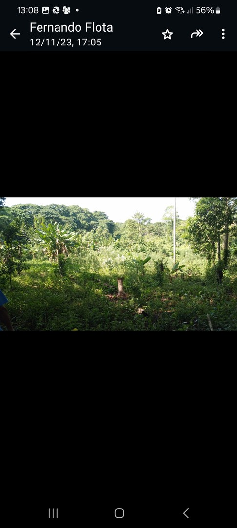 solares y terrenos - SE VENDE FINQUITA DE 12 TAREA DE TIERRA  EN BAYAGUANA  ENTRANDO POR LA CHINITA  