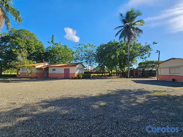 solares y terrenos - Remato Solar en San Francisco de macoris 4