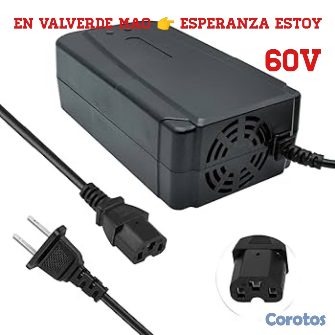 accesorios para electronica - Cargador de pasola Electrica 60v
