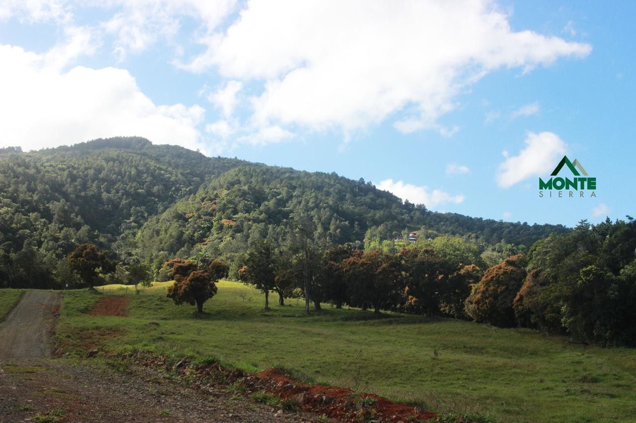 solares y terrenos - Lotes Exclusivos en Jarabacoa - Oferta  Día de las Madres
Proyecto Monte Sierra 2