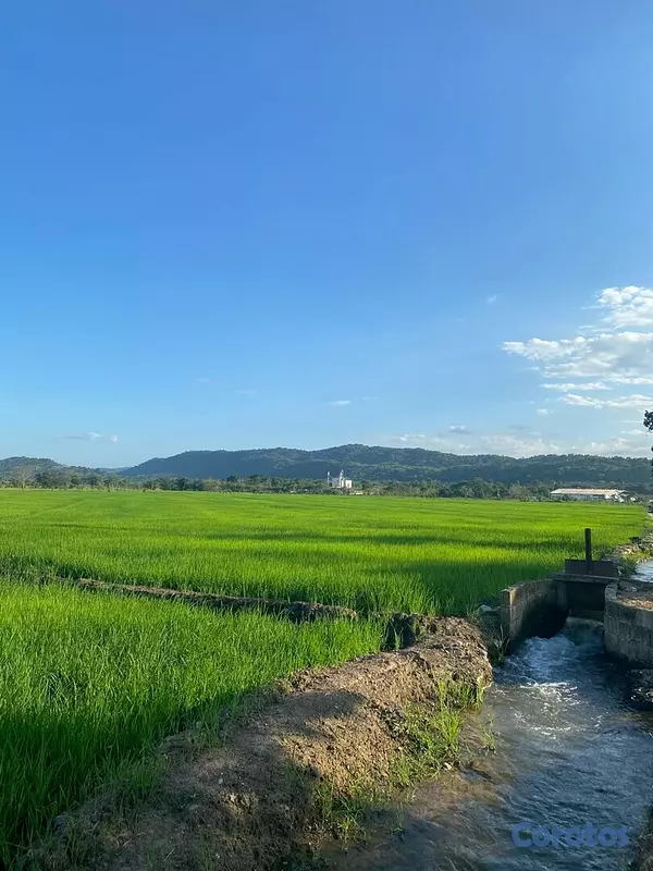 solares y terrenos - Se Vende Finca de Arroz en San Francisco de Macorís Macoris 8