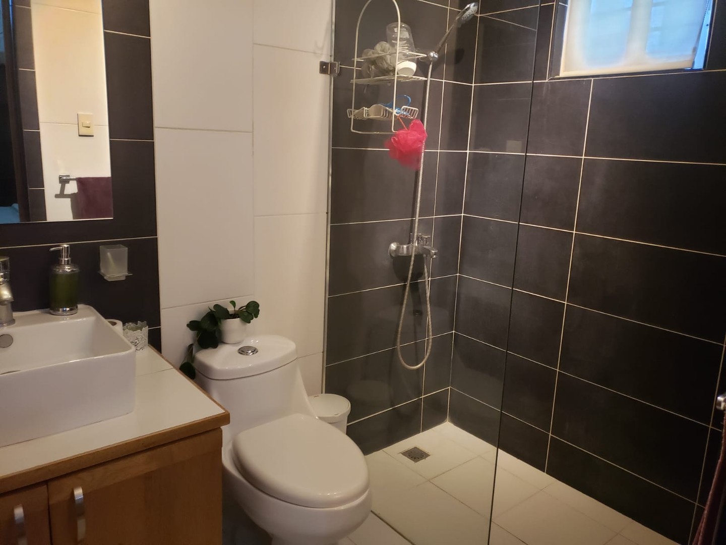 apartamentos - Apartamento 2do piso Evaristo Morales 5